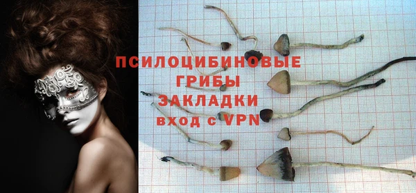 mdpv Арсеньев