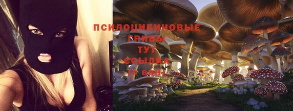 mdpv Арсеньев