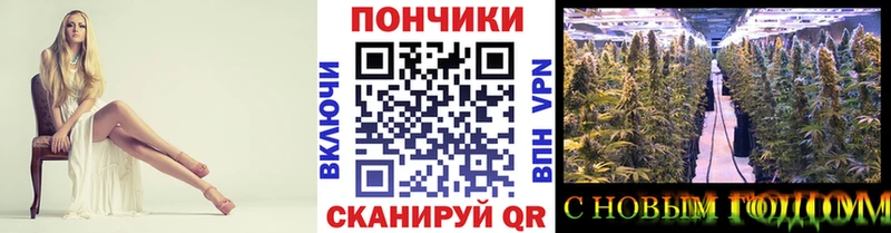 Шишки марихуана Amnesia  Темников 